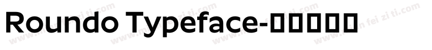 Roundo Typeface字体转换